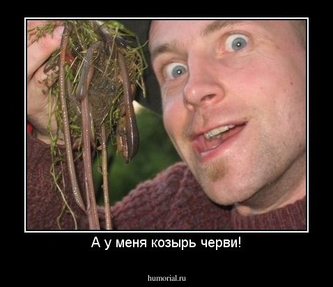А у меня козырь черви!