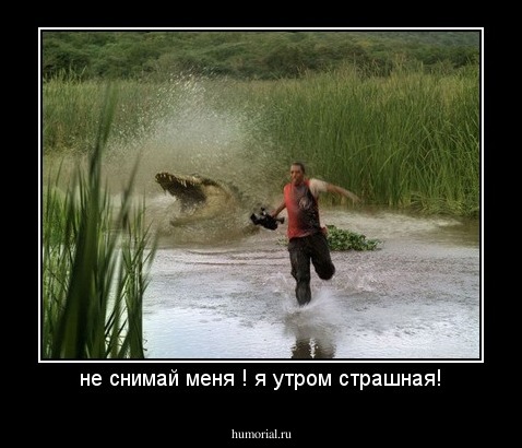 не снимай меня ! я утром страшная!