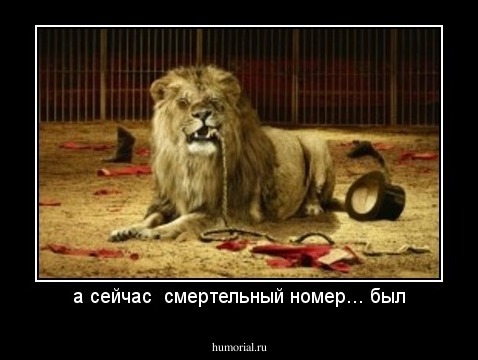 а сейчас  смертельный номер... был