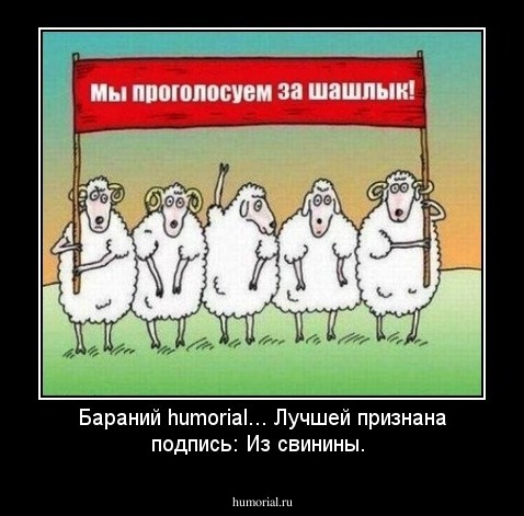 Бараний humorial... Лучшей признана подпись: Из свинины.