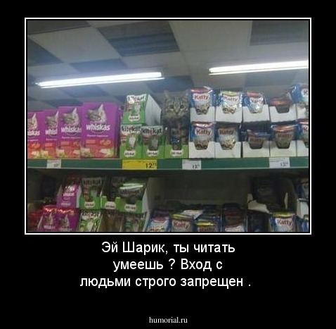 Эй Шарик, ты читать умеешь ? Вход с людьми строго запрещен .