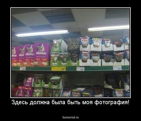 Здесь должна была быть моя фотография!