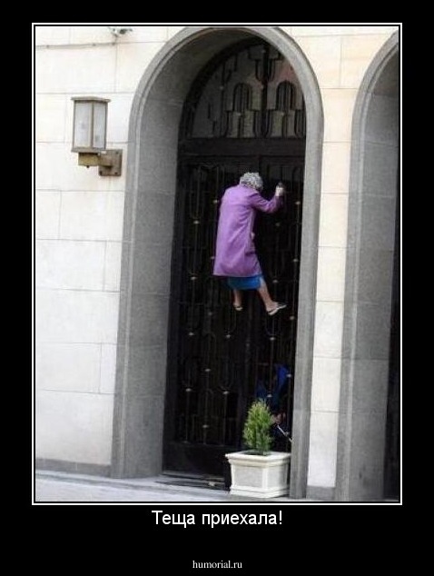 Теща приехала!