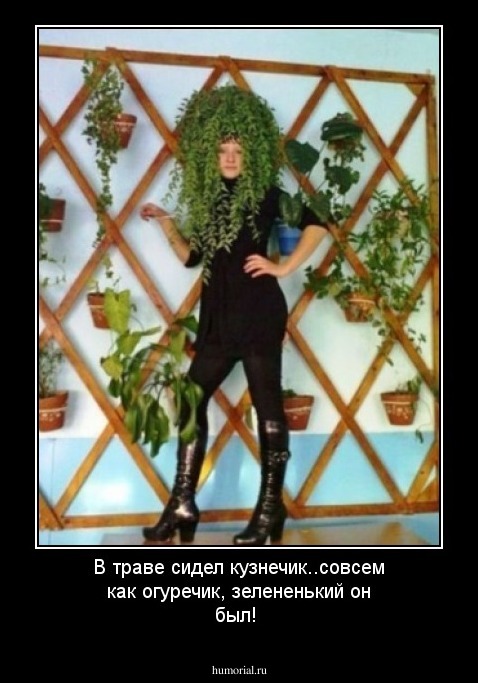 В траве сидел кузнечик..совсем как огуречик, зелененький он был!
