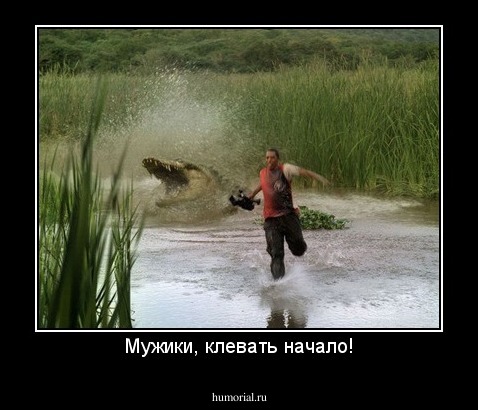 Мужики, клевать начало!