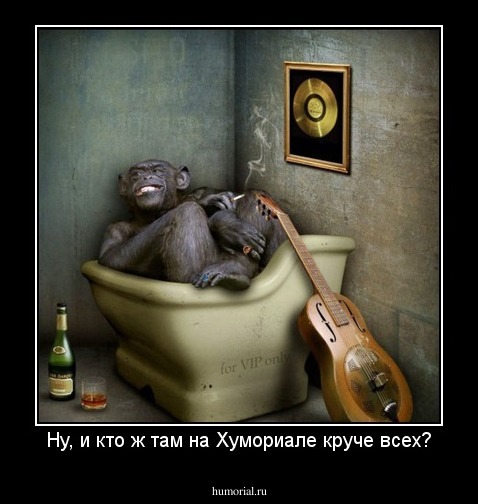Ну, и кто ж там на Хумориале круче всех?