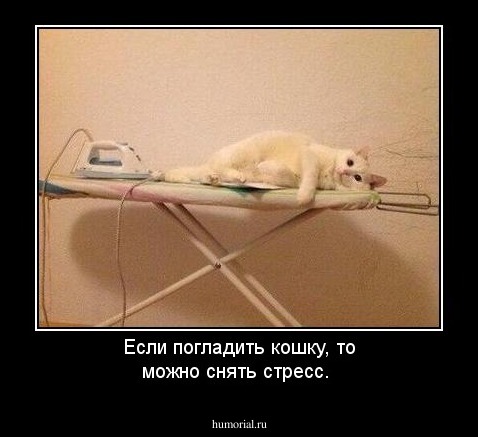 Если погладить кошку, то можно снять стресс.