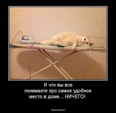 И что вы все понимаете про самое удобное место в доме... НИЧЕГО!