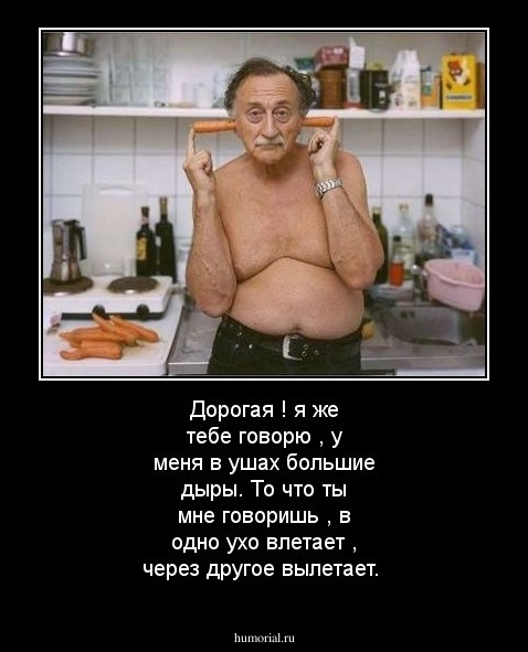 Дорогая ! я же тебе говорю , у меня в ушах большие дыры. То что ты мне говоришь , в одно ухо влетает , через другое вылетает.