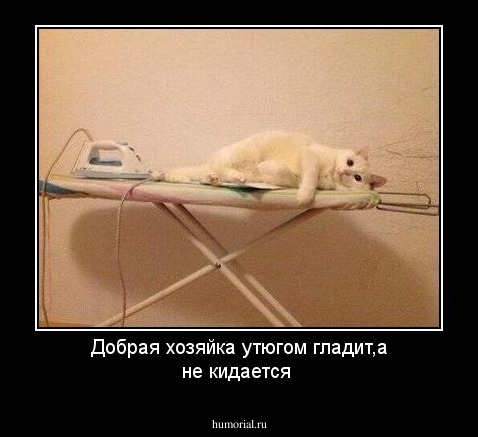 Добрая хозяйка утюгом гладит,а не кидается 