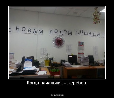 Когда начальник - жеребец.