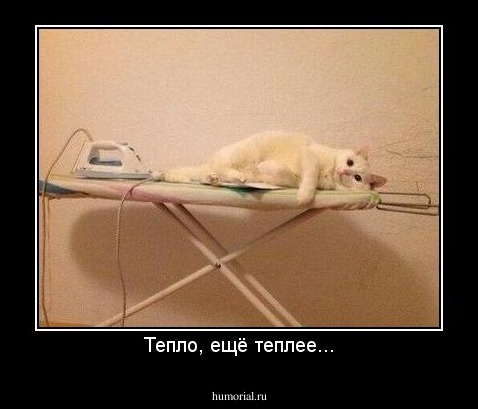 Тепло, ещё теплее...