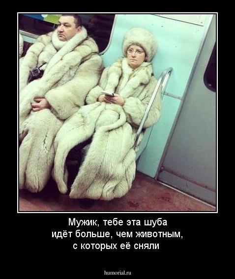 Мужик, тебе эта шуба идёт больше, чем животным, с которых её сняли