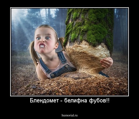 Блендомет - белифна фубов!!