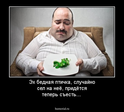 Эх бедная птичка, случайно сел на неё, придётся теперь съесть...