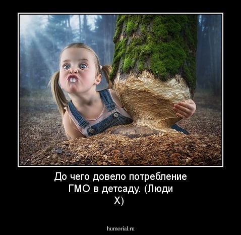 До чего довело потребление ГМО в детсаду.
(Люди Х)