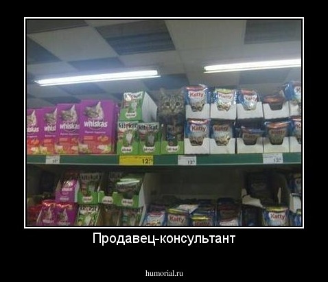 Продавец-консультант