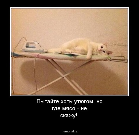 Пытайте хоть утюгом, но где мясо - не скажу!
