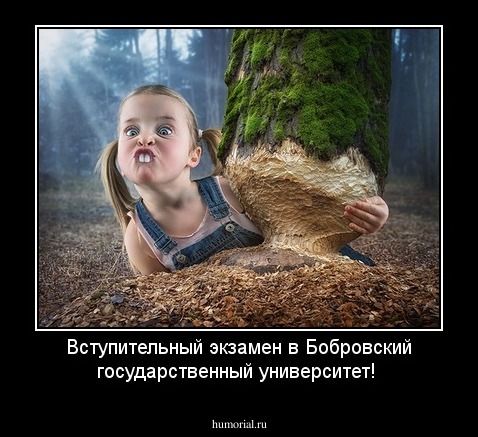 Вступительный экзамен в Бобровский государственный университет!