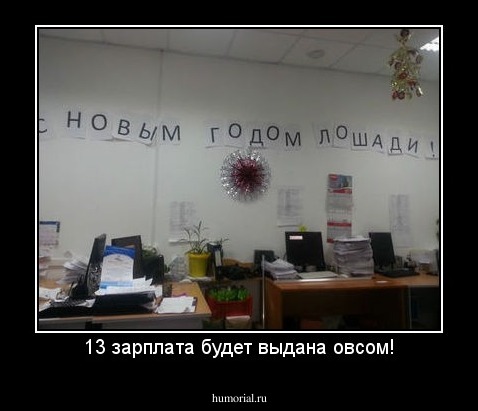 13 зарплата будет выдана овсом!