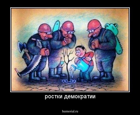 ростки демократии
