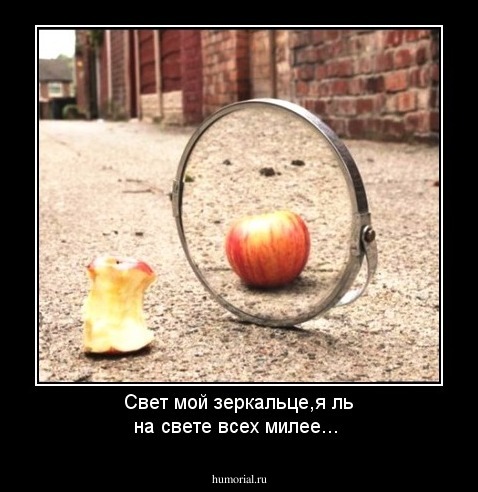 Свет мой зеркальце,я ль на свете всех милее...