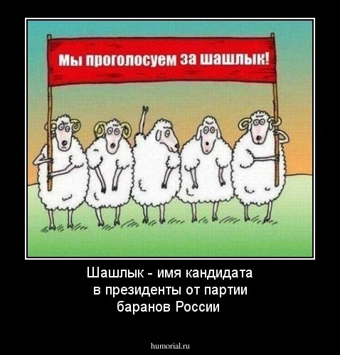 Шашлык - имя кандидата в президенты от партии баранов России