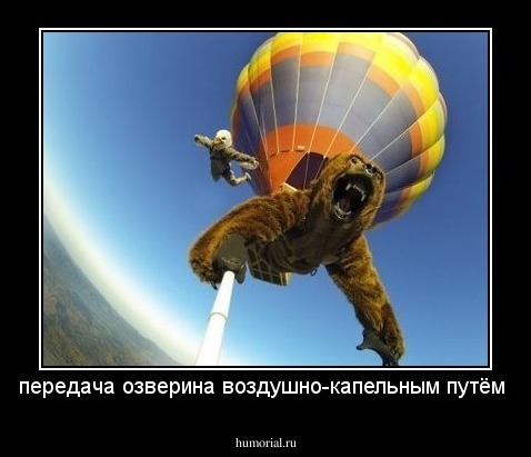 передача озверина воздушно-капельным путём