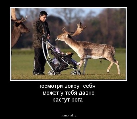 посмотри вокруг себя , может у тебя давно растут рога