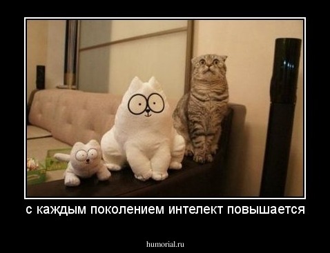 с каждым поколением интелект повышается