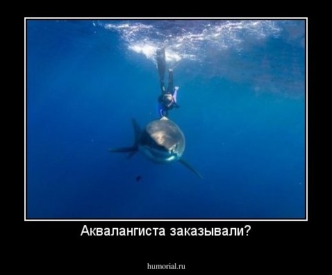 Аквалангиста заказывали?