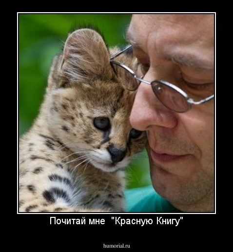 Почитай мне  "Красную Книгу"