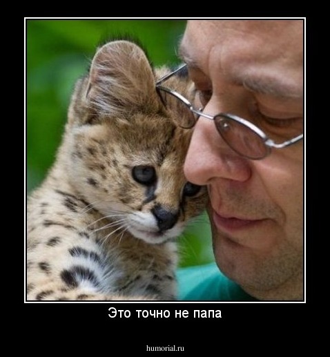Это точно не папа
