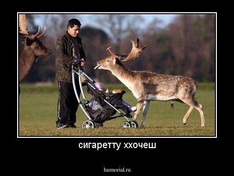сигаретту ххочеш