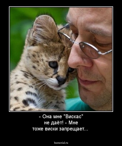 - Она мне "Вискас" не даёт!

- Мне тоже виски запрещает...