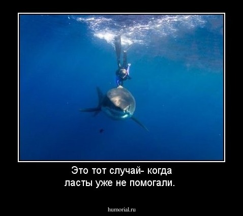 Это тот случай- когда ласты уже не помогали.