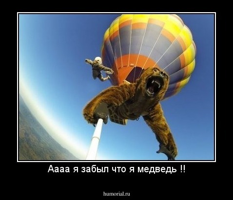 Аааа я забыл что я медведь !!