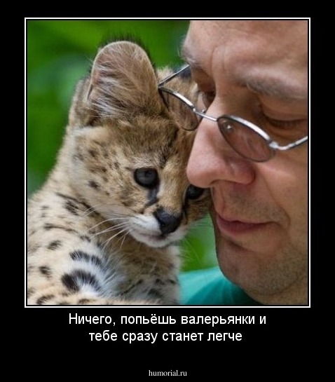 Ничего, попьёшь валерьянки и тебе сразу станет легче
