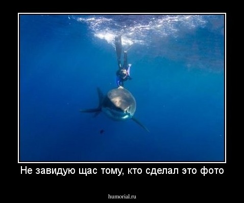 Не завидую щас тому, кто сделал это фото
