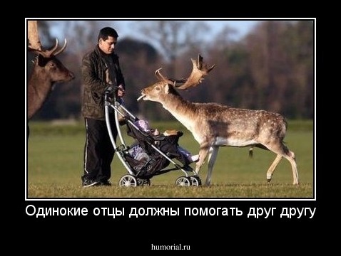 Одинокие отцы должны помогать друг другу