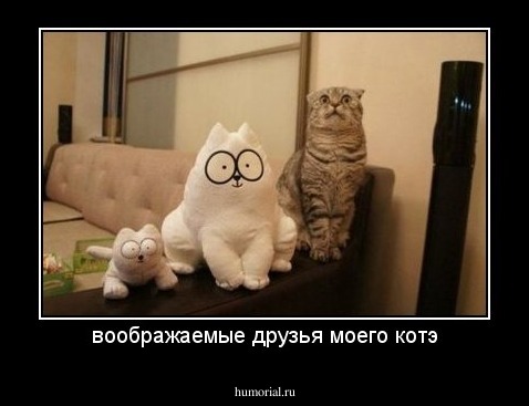 воображаемые друзья моего котэ