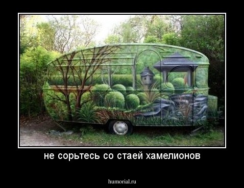 не сорьтесь со стаей хамелионов