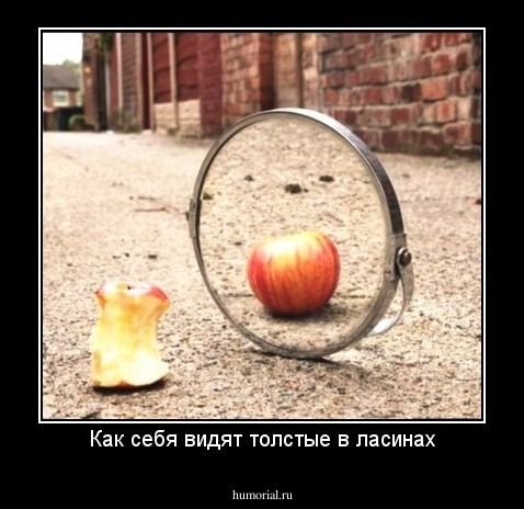 Как себя видят толстые в ласинах