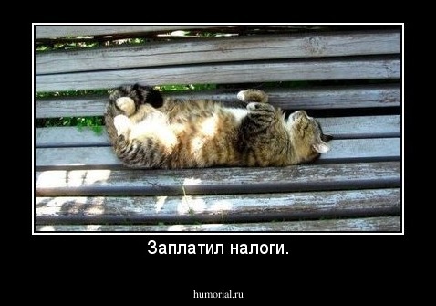 Заплатил налоги.