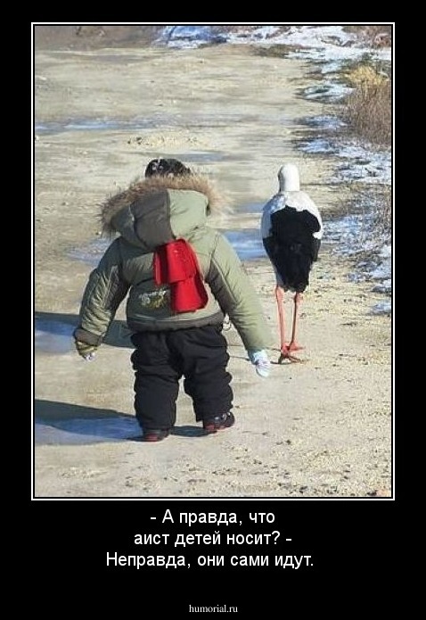 - А правда, что аист детей носит? - Неправда, они сами идут.