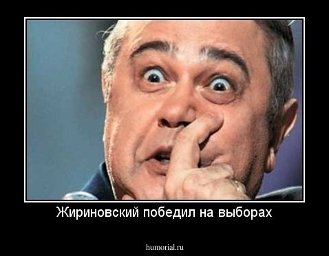 Жириновский победил на выборах