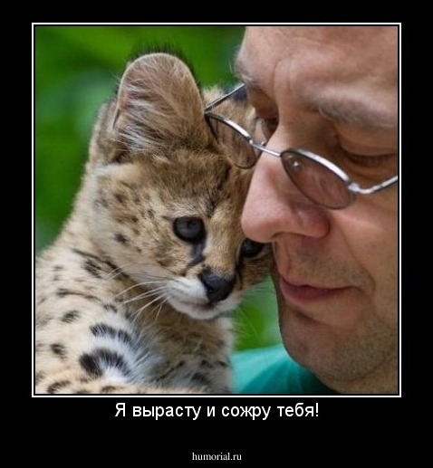 Я вырасту и сожру тебя!