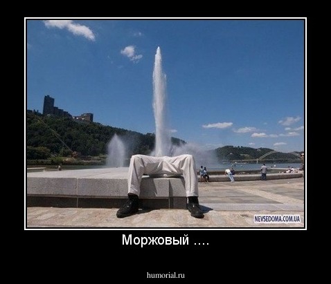 Моржовый ....