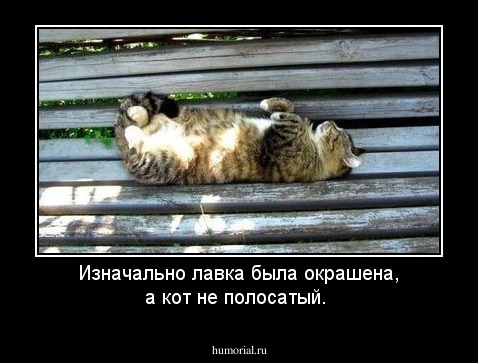 Изначально лавка была окрашена, а кот не полосатый.