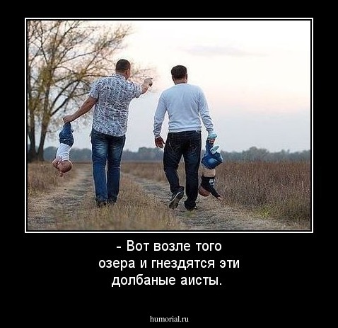 - Вот возле того озера и гнездятся эти долбаные аисты.
